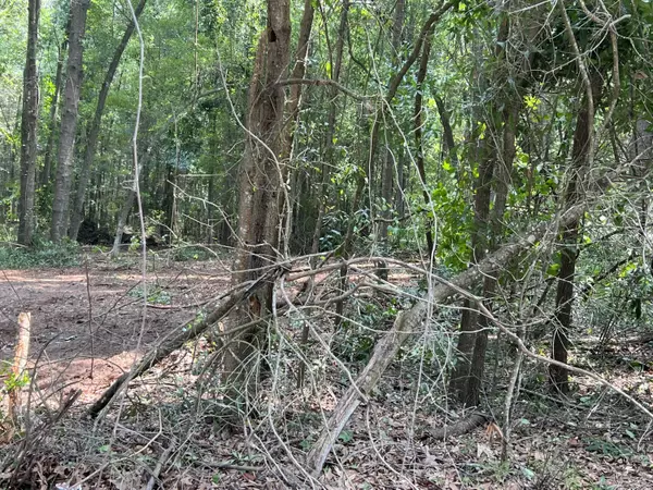 Summerton, SC 29148,0 Princess Pond Rd