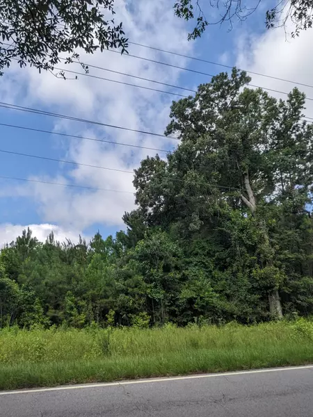 0 Highway 174, Adams Run, SC 29426