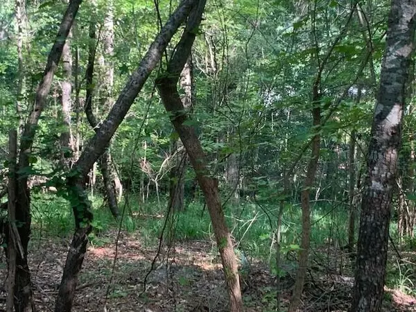 Saint Matthews, SC 29135,Lot 5&6 Country Club Rd