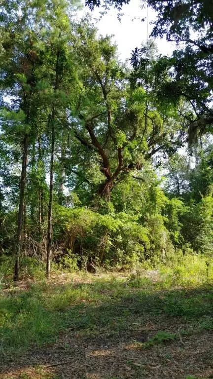 Georgetown, SC 29440,0 Sarah Dr