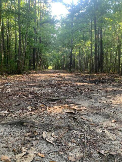 7251 George Washington Ln, Awendaw, SC 29429
