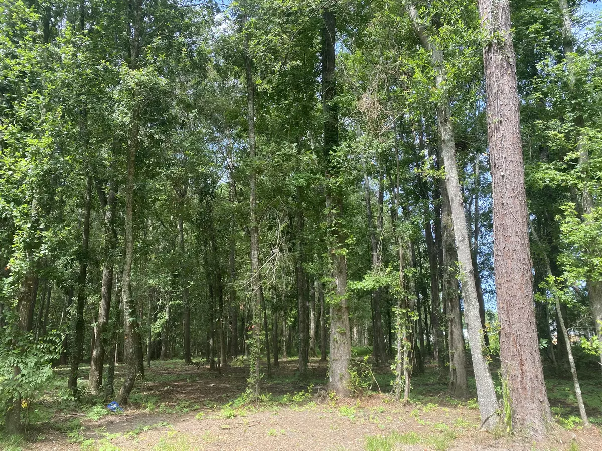 Summerville, SC 29483,0 Orbit Ln