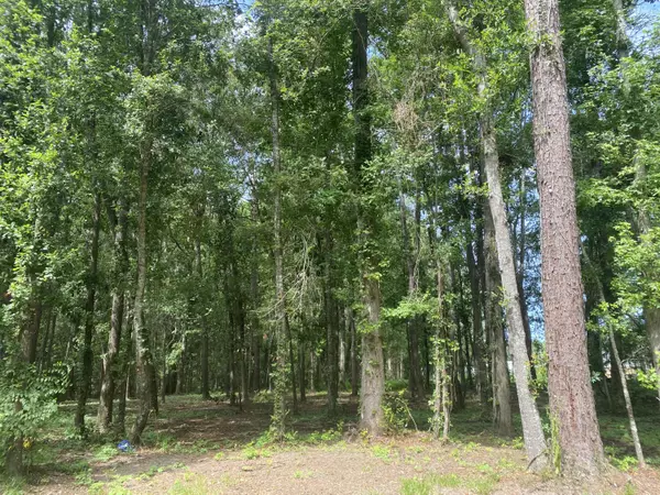 0 Orbit Ln, Summerville, SC 29483