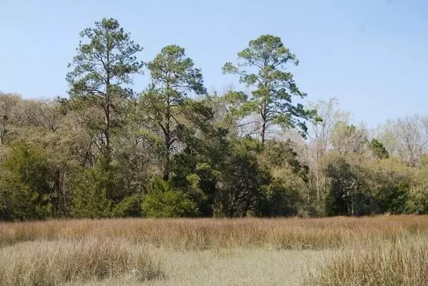 Wadmalaw Island, SC 29487,5955 Bears Bluff Rd