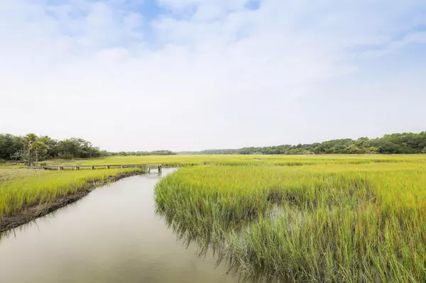 Edisto Island, SC 29438,42 Eel Island Trl