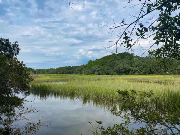 Wadmalaw Island, SC 29487,0 Bears Bluff Rd