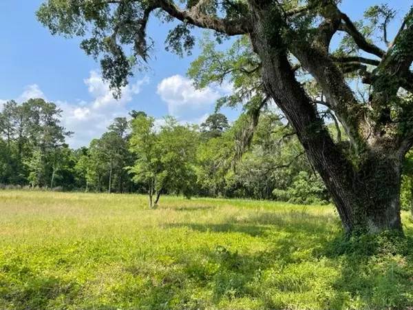 Mcclellanville, SC 29458,320 Mercantile Rd #Lot 2