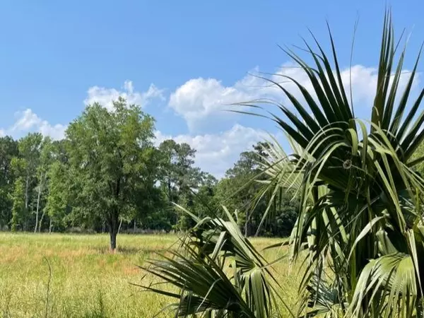 Mcclellanville, SC 29458,320 Mercantile Rd #Lot 2