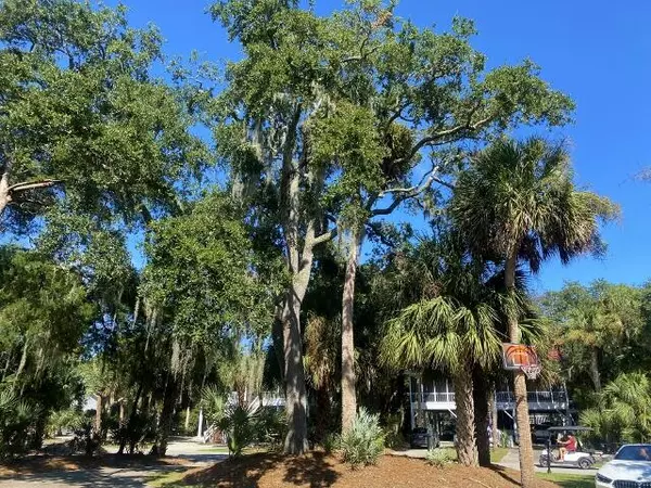 Edisto Beach, SC 29438,3308 Myrtle St