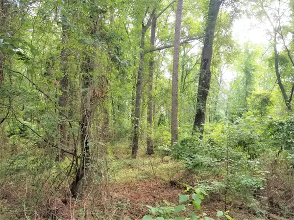 Elloree, SC 29047,Lot 13 Wild Wood Ln