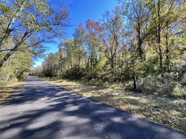 Ridgeville, SC 29472,00 Shoofly Road Rd