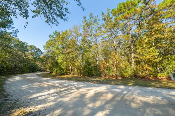 Awendaw, SC 29429,4258 True Blue Ct