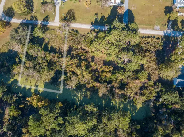 Edisto Island, SC 29438,43 Blackbear Dr