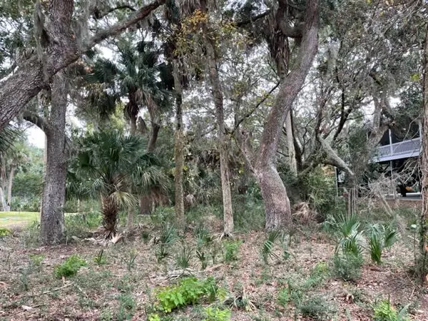 Edisto Island, SC 29438,617 Dolphin St