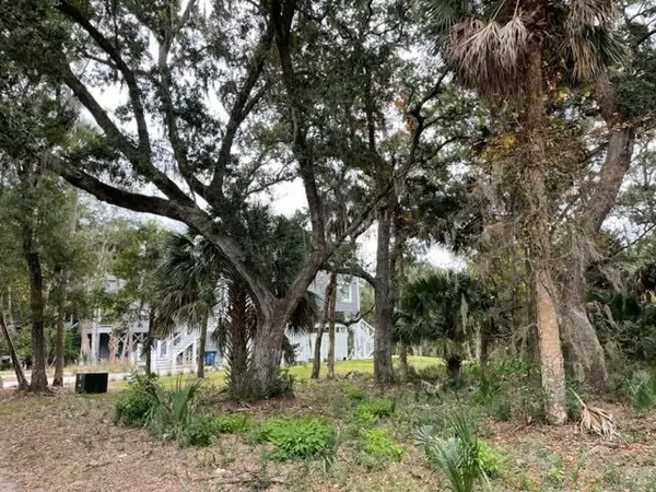 617 Dolphin St,  Edisto Island,  SC 29438