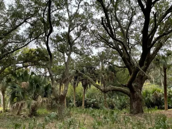 Edisto Island, SC 29438,617 Dolphin St