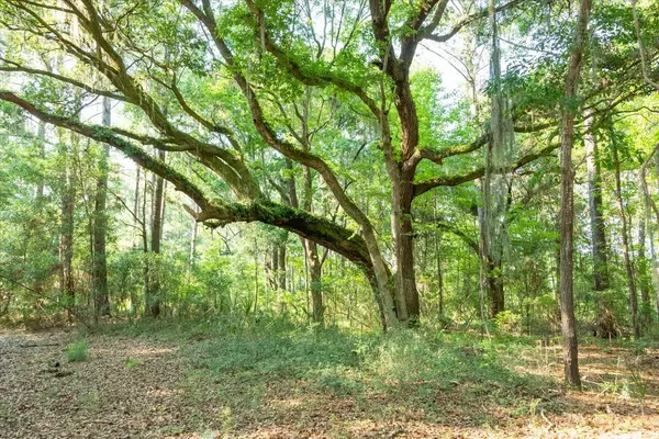 Edisto Island, SC 29438,2278 Laurel Hill Rd