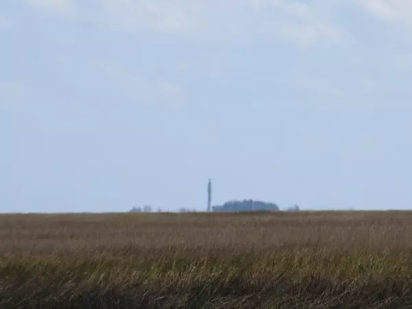 Mcclellanville, SC 29458,993 Ivory Bill Ln