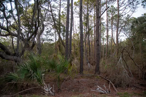 Folly Beach, SC 29439,1012 E Erie Ave