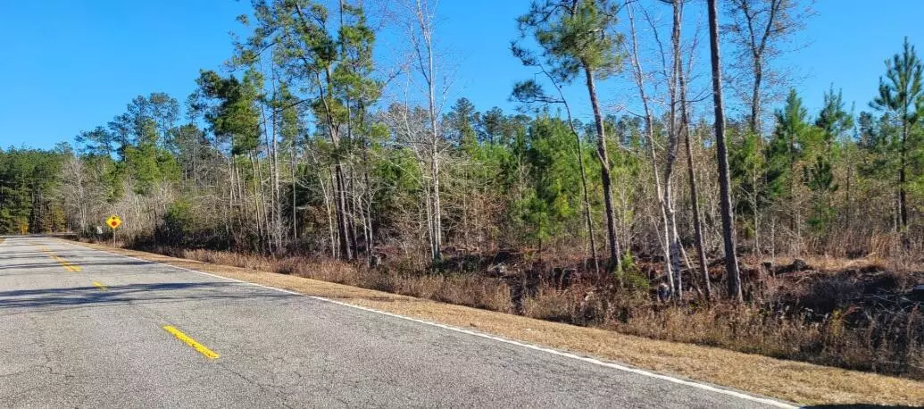0 George Warren Drive, Williams, SC 29493