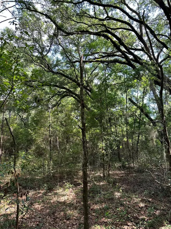 4198 Betsy Kerrison Pkwy, Johns Island, SC 29455