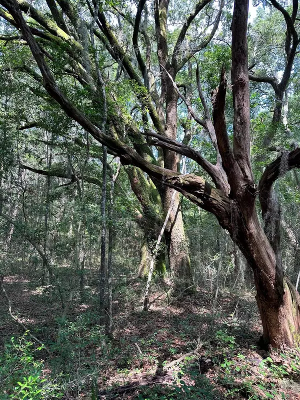 Johns Island, SC 29455,4198 Betsy Kerrison Pkwy