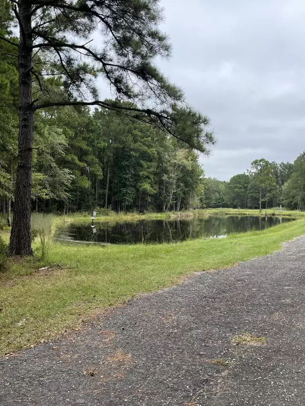 Ravenel, SC 29470,Lot 6 Bay Pond Rd Rd