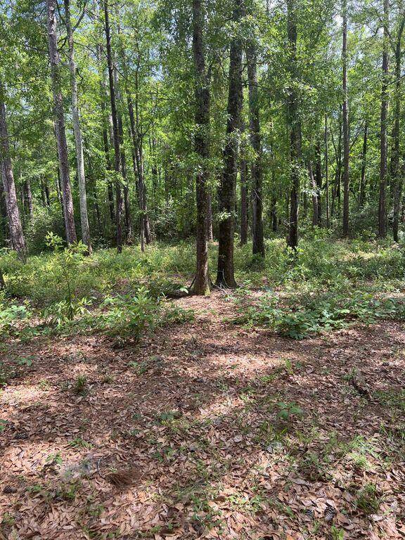 0 White Sands Rd, Walterboro, SC 29488