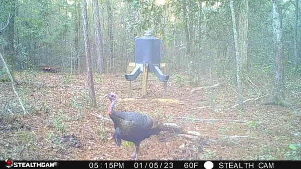 Round O, SC 29474,0 Fleming Rd