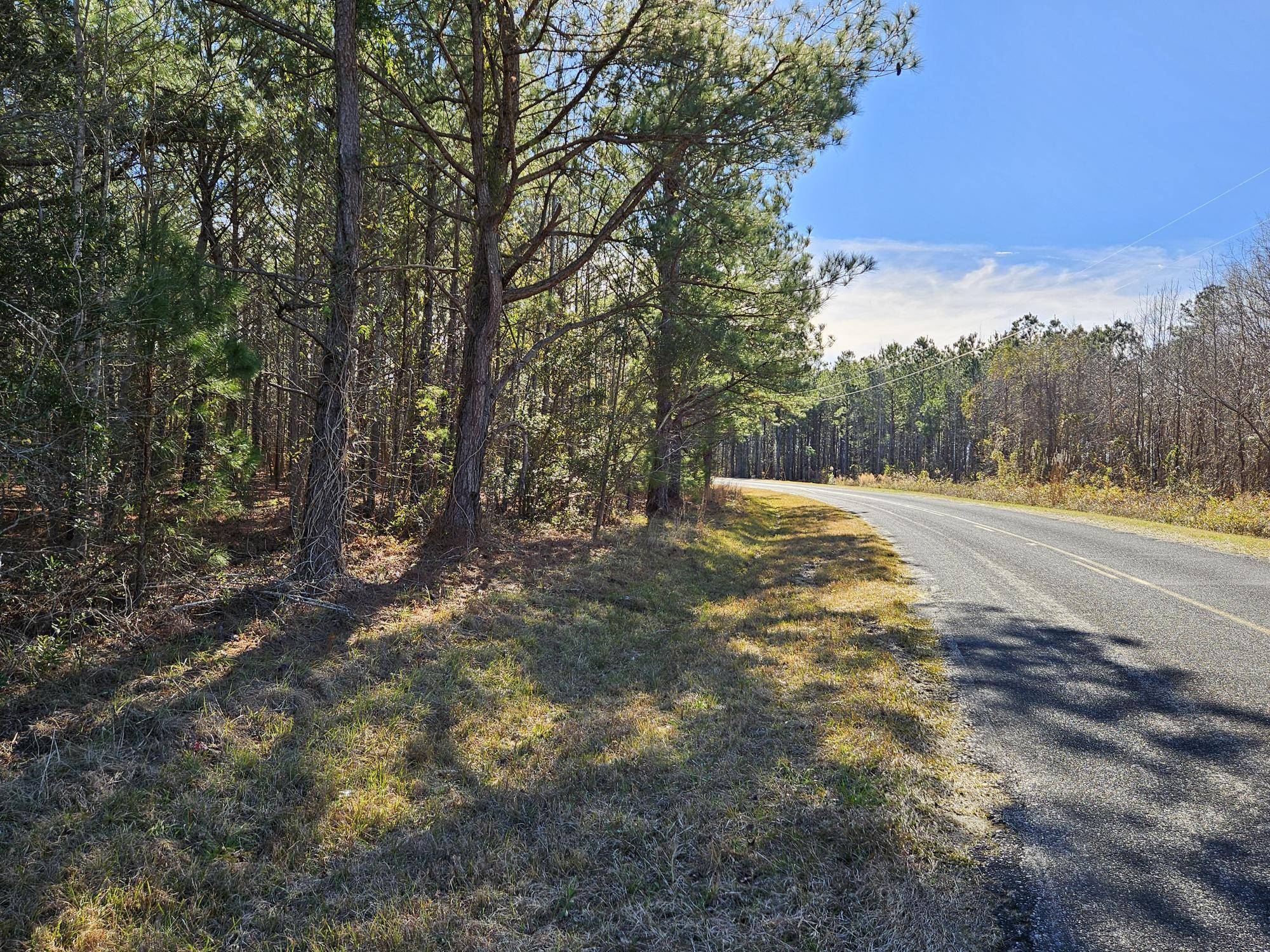 Tbd William Brunson Rd, Summerton, SC 29148