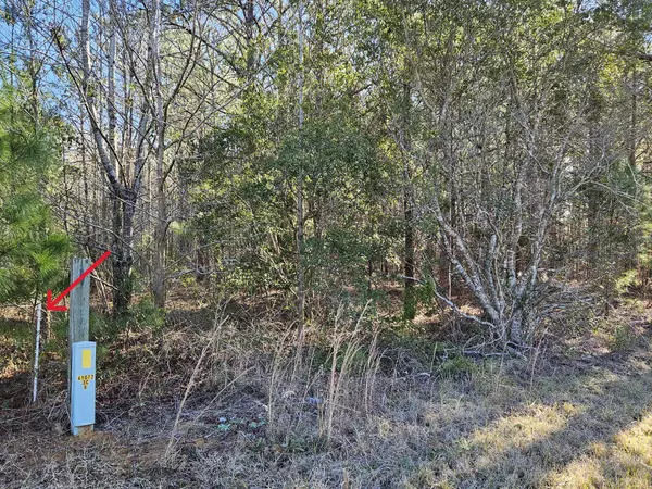 Summerton, SC 29148,Tbd William Brunson Rd