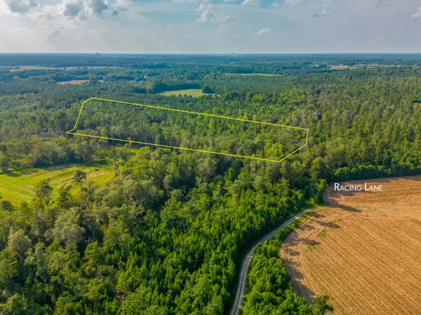 00 Racing Ln, Harleyville, SC 29448