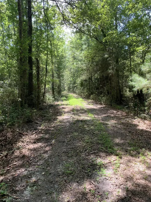 Harleyville, SC 29448,00 Racing Ln