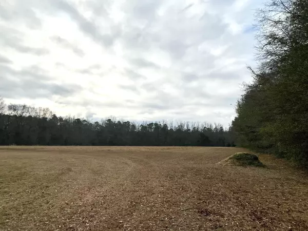 Ridgeville, SC 29472,000 Fish Rd