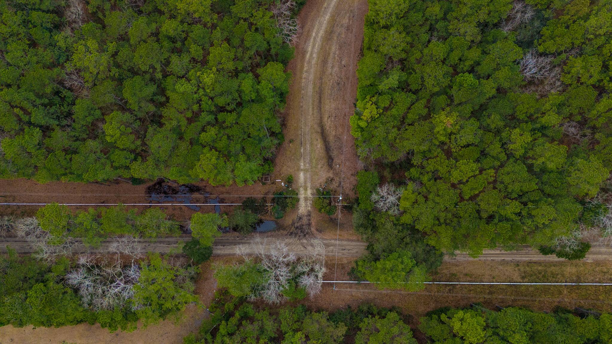 Mcclellanville, SC 29458,00 Morrison Canal Dr