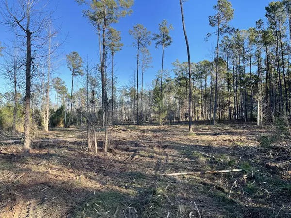 Summerville, SC 29483,0 Countryside Way #Lot 6