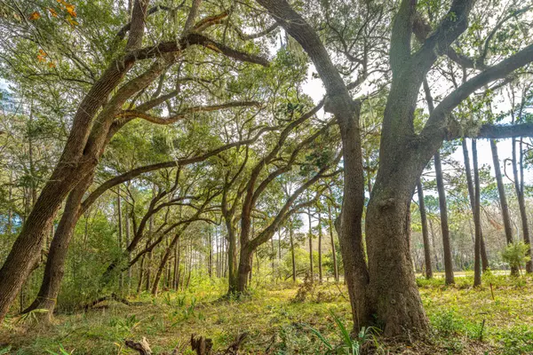 4178 Gnarled Oaks Ln, Johns Island, SC 29455