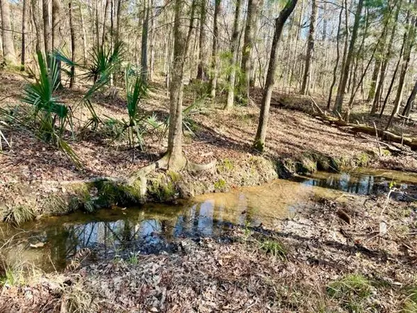 Jacksonboro, SC 29452,015 Hope Plantation Ln