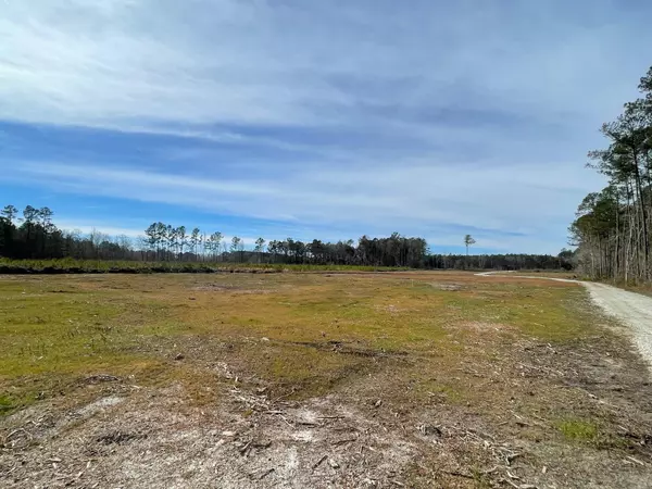 Holly Hill, SC 29059,463 Sandridge Acres Trl
