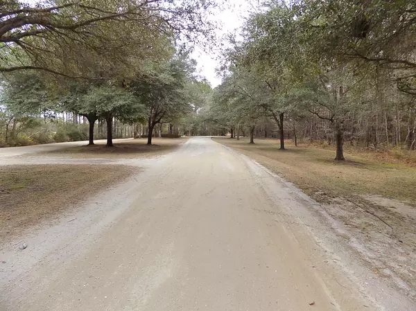 Wadmalaw Island, SC 29487,0 Pawlett Blake Ln
