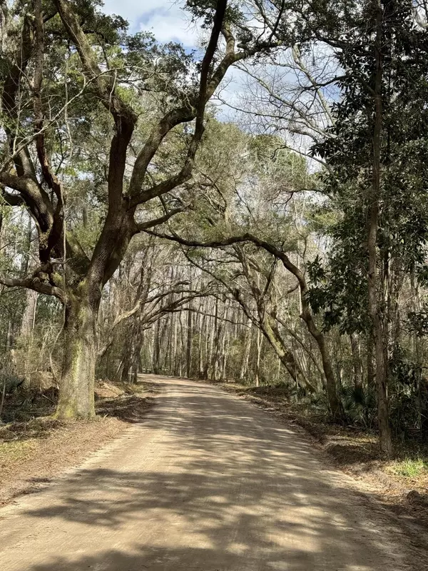 0 Mary Seabrook Rd, Edisto Island, SC 29438