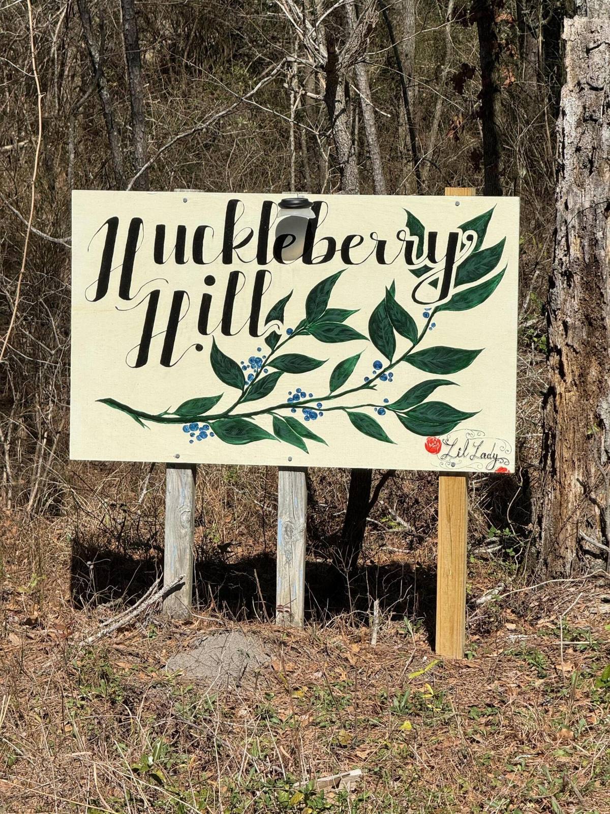 Ridgeville, SC 29472,0 Sawyer Dr