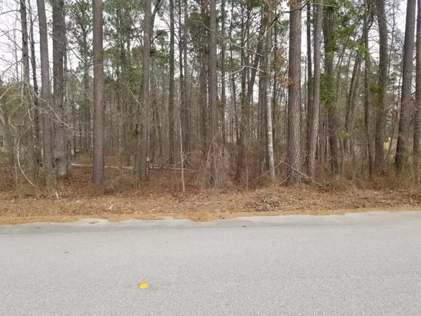 0 Sorin Cir, Elloree, SC 29047