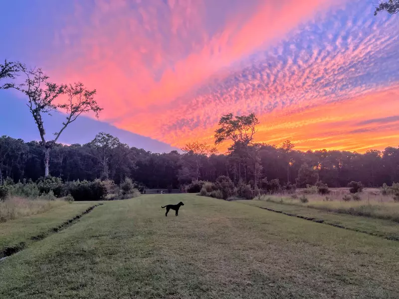 6870 Early Jersey Rd, Meggett, SC 29449