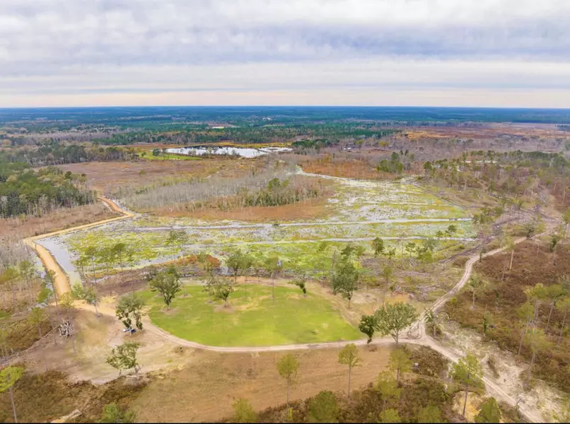 0 Preacher Rd, Adams Run, SC 29426