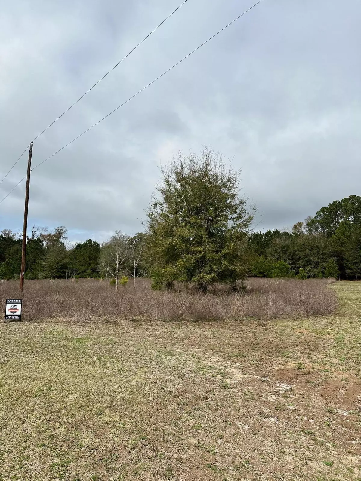 Edisto Island, SC 29438,Lot 19 Berry Manor Ln