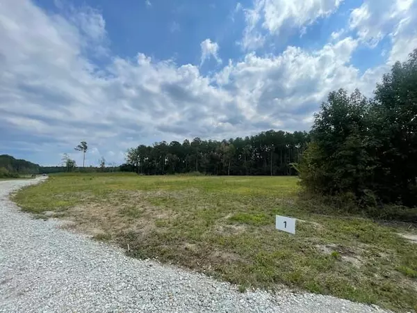 Holly Hill, SC 29059,407 Sandridge Acres Trl