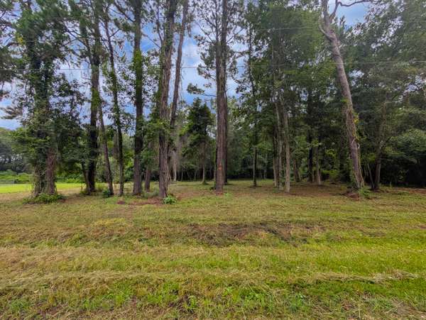 Mcclellanville, SC 29458,538 Mercantile Rd