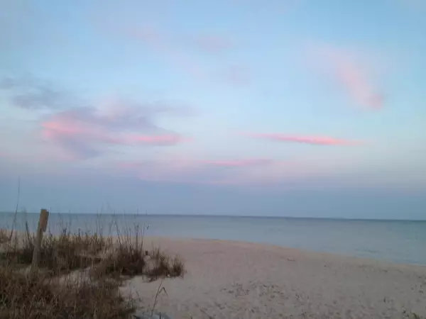 Edisto Beach, SC 29438,551 Pelican Ct