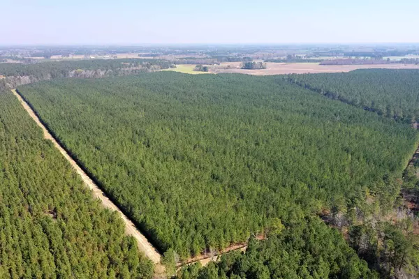 Kingstree, SC 29556,0 Cedar Swamp Rd